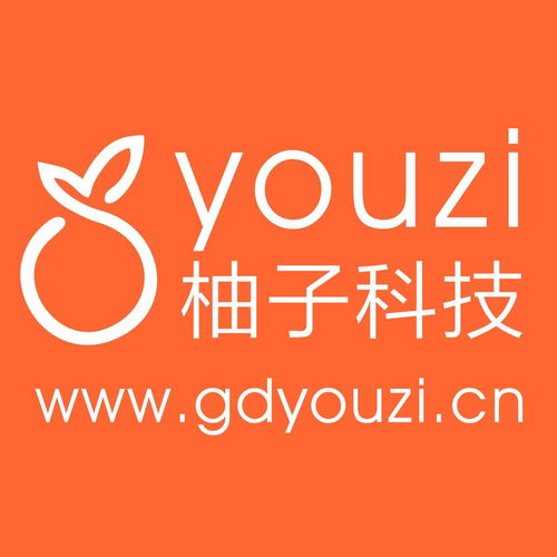 廣東柚子網絡科技 賦能企業數字化轉型的本地化網絡技術服務專家